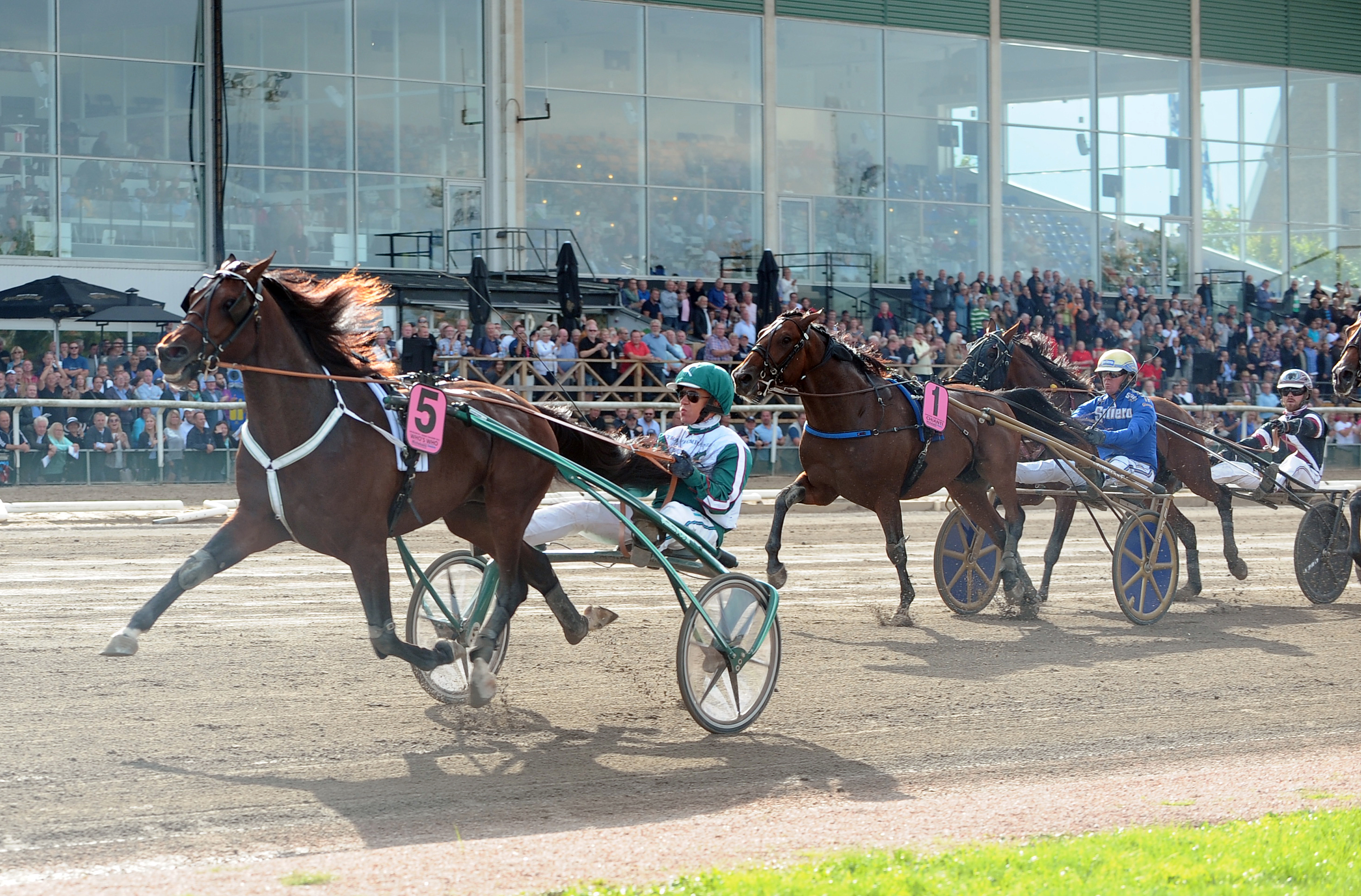 Who's Who vinner Svenskt Travderby 2018 vilket är Travkompaniets näst vinstrikaste seger. Foto: Claes Kärrstrand.